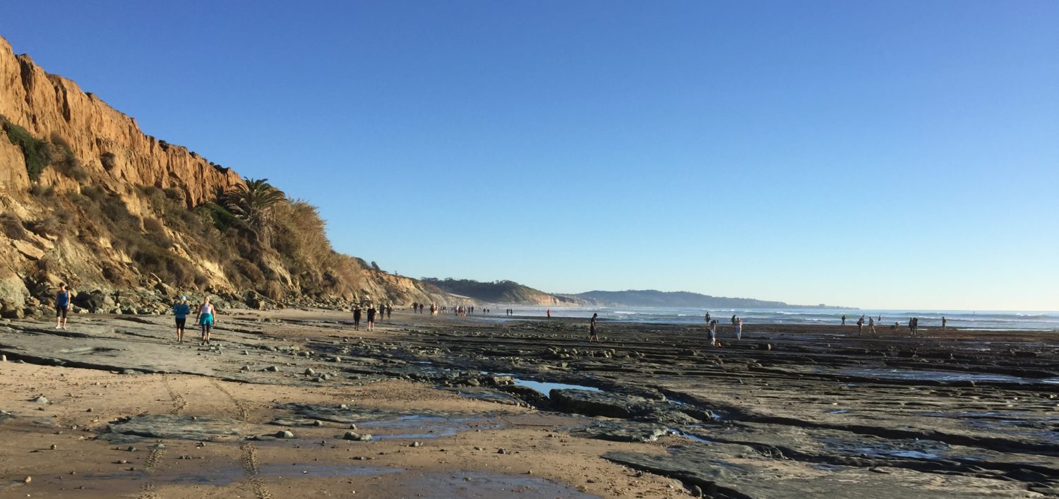 Torrey Pines Beach Low Tide