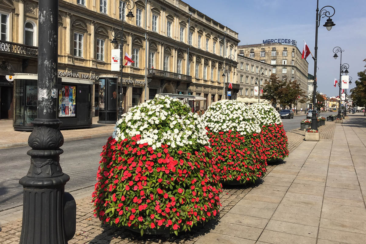 Nowy Świat