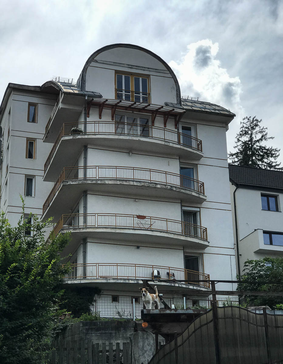 Our Airbnb, second floor with one of the three dogs that liked to bark numerous times during the day and night