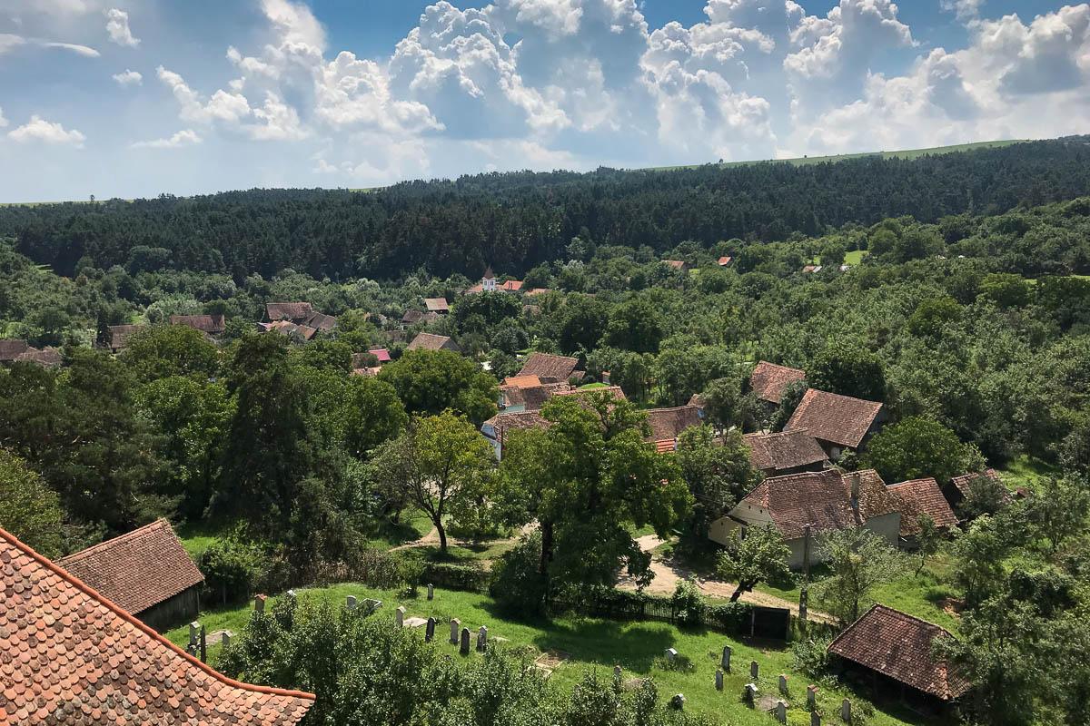 Viscrii from the tower