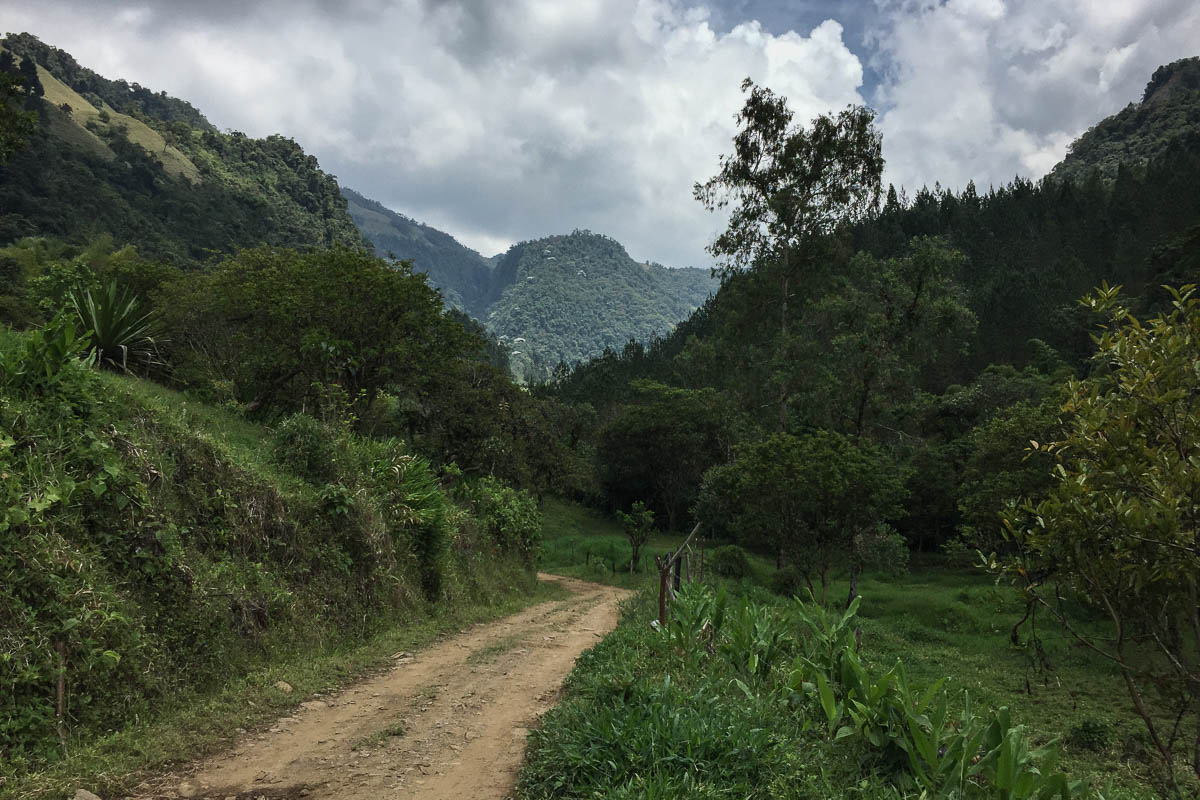 Along the hike to the waterfalls