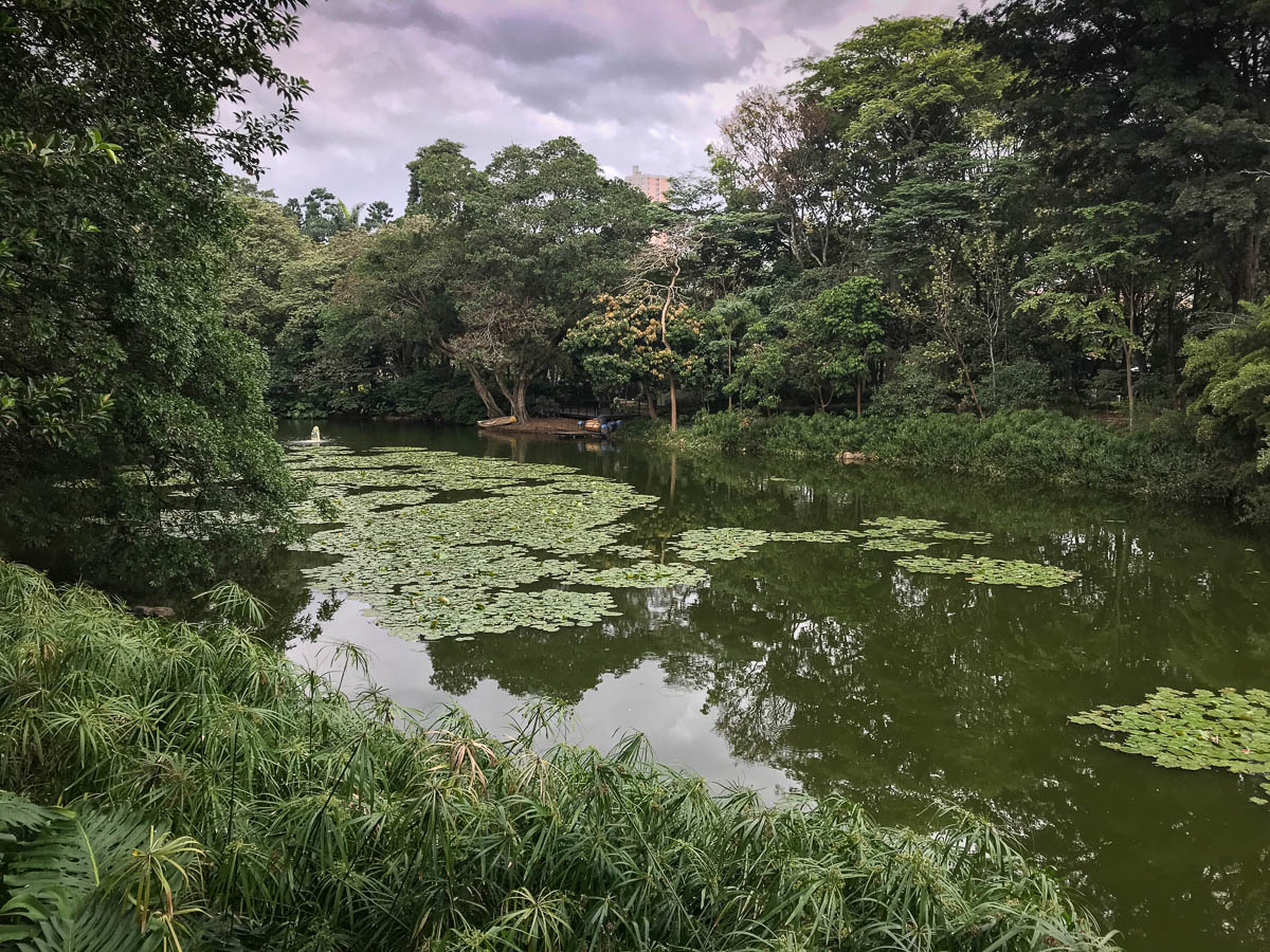 Medellins Botanical Gardens