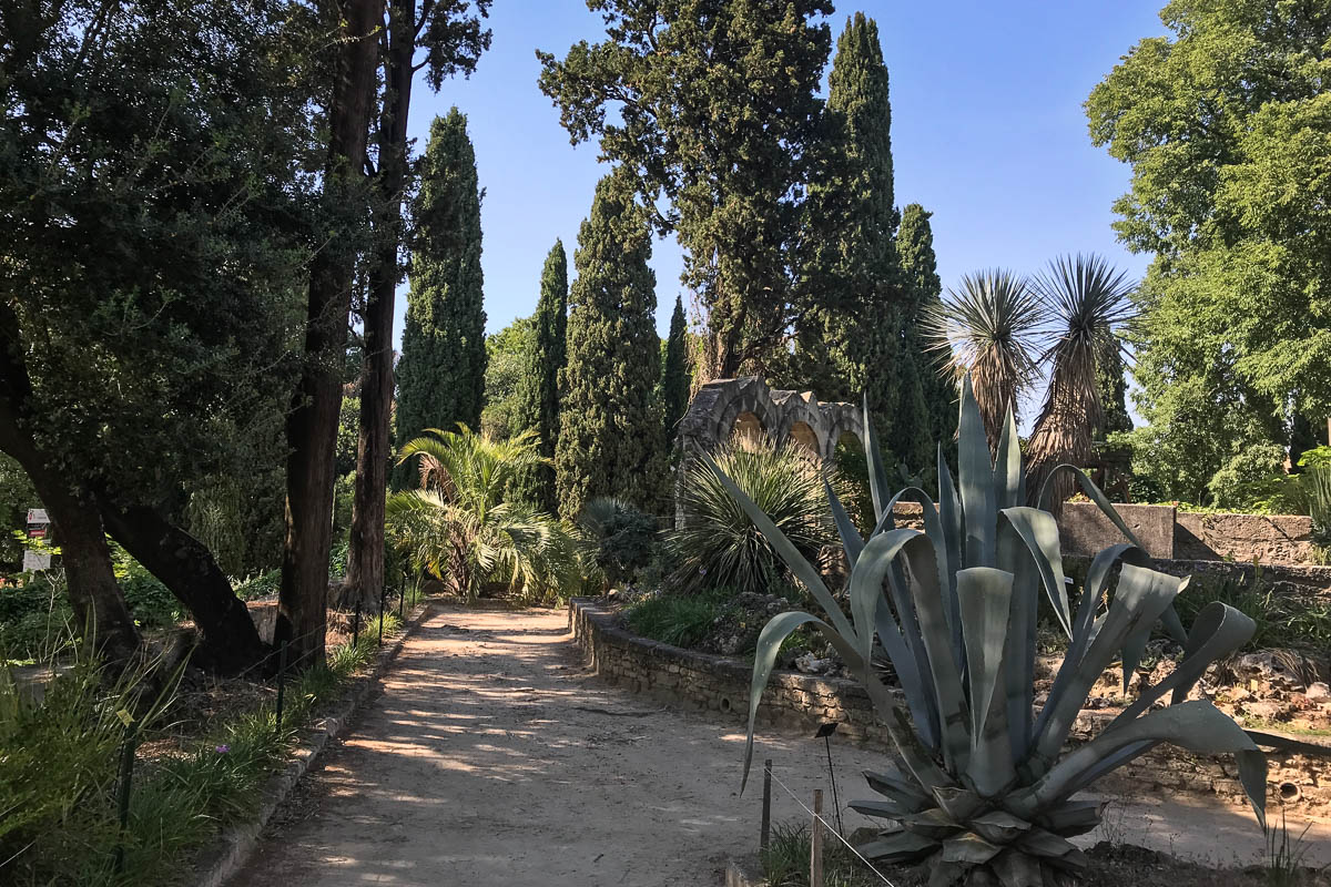 Le Jardin des Plantes