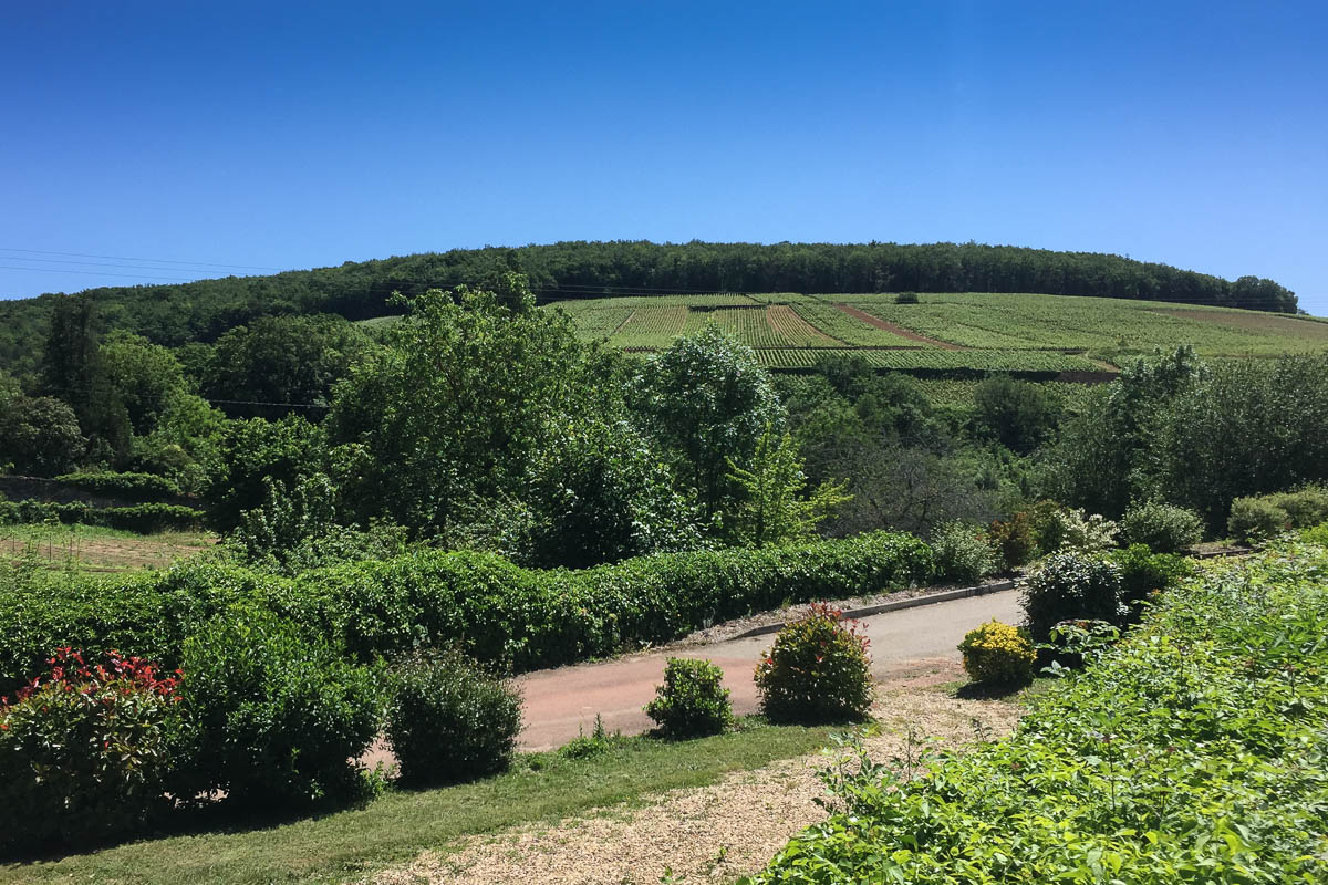 Some of the vineyards. The Grand Cru come from the top few rows