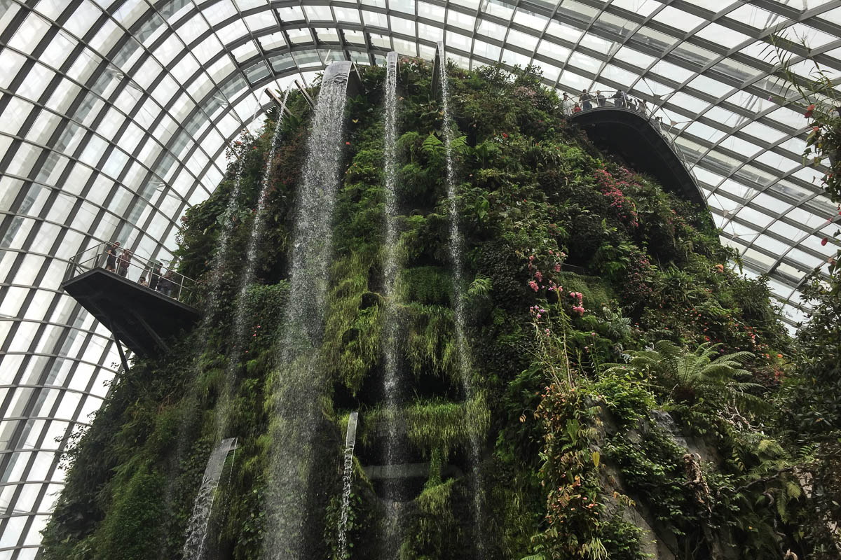 Inside the cloud forest dome