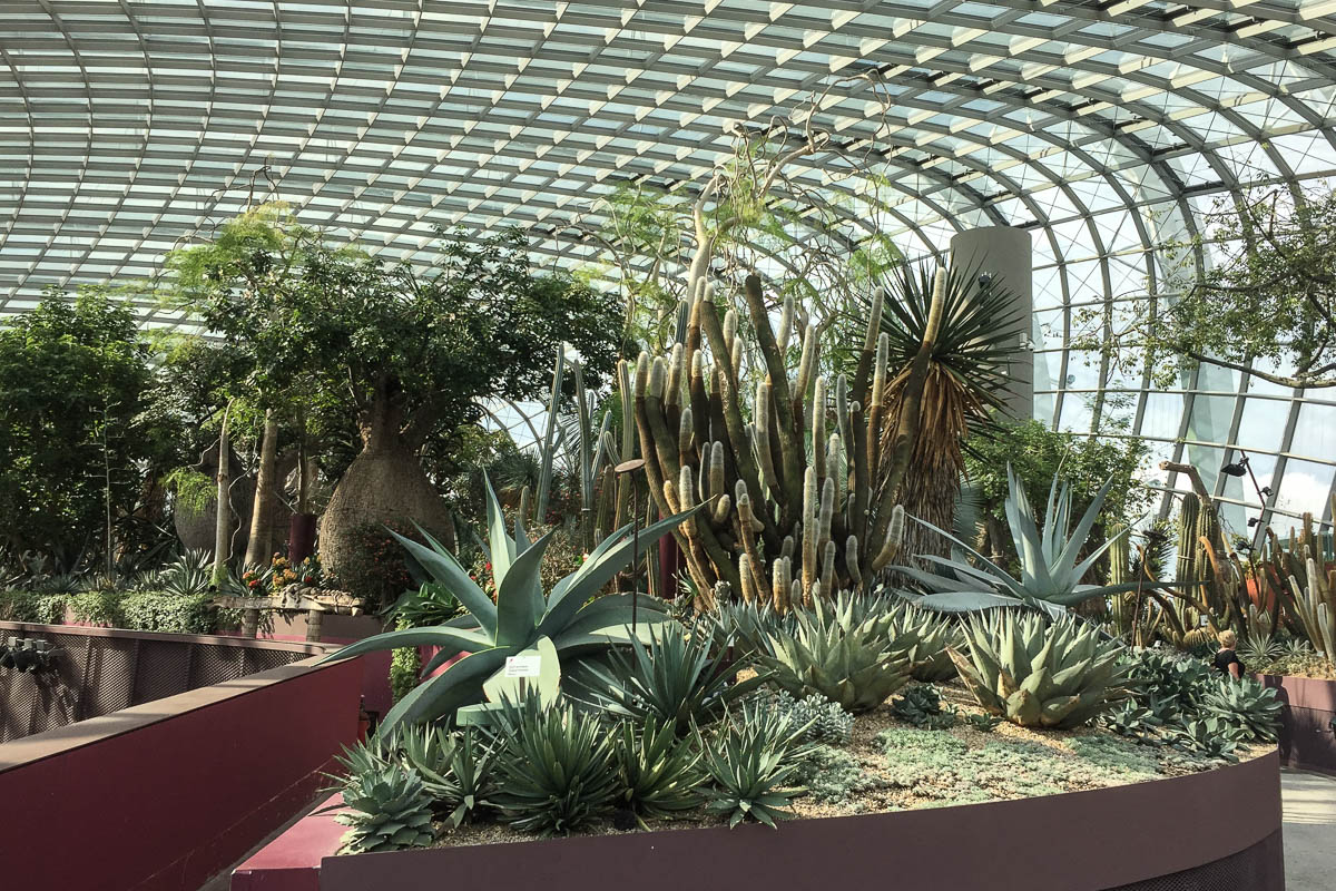 Inside the flower dome